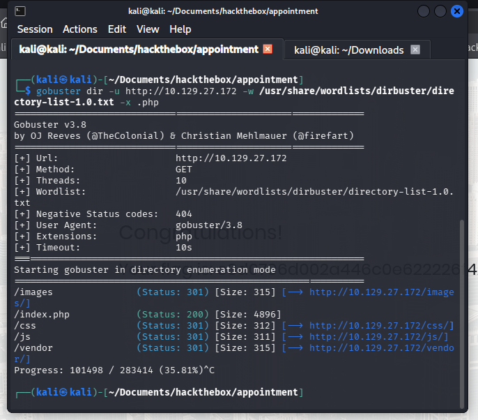 GoBuster enumeration returning no results