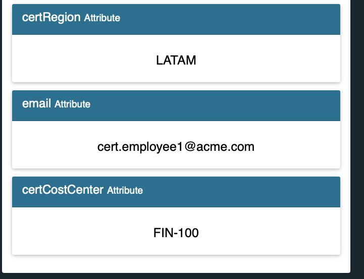 IAMShowcase displaying assertion with custom attributes